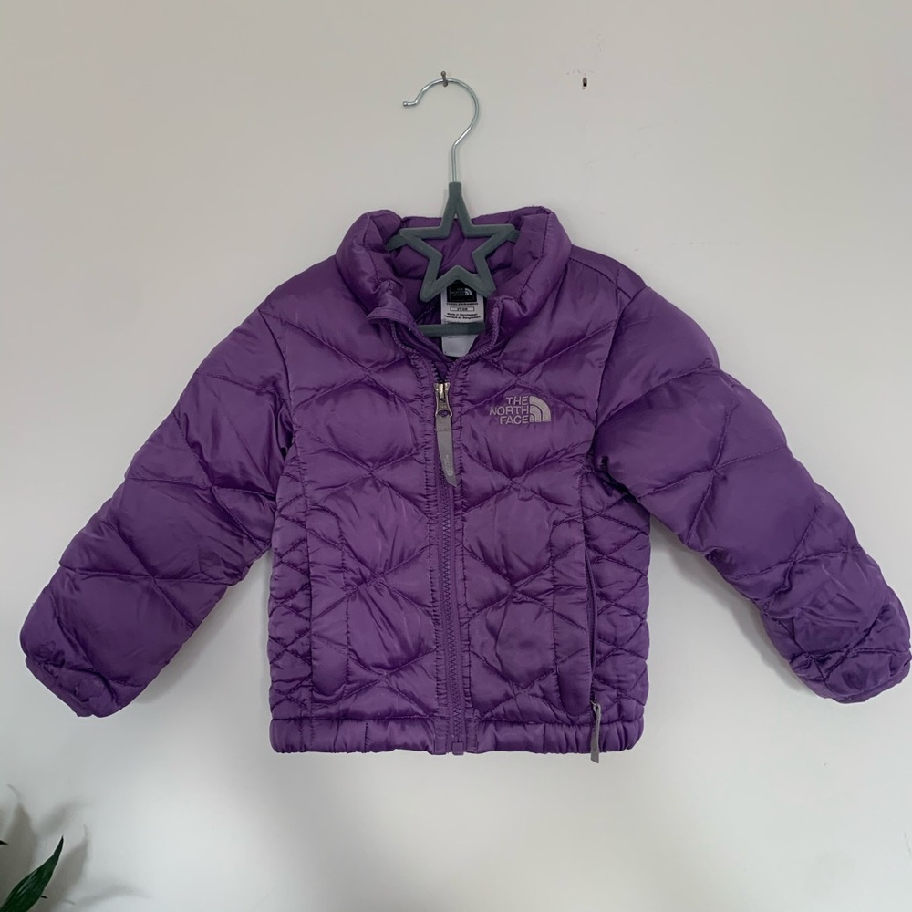 North Face Toddler Puffy Jacket